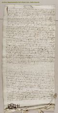 http://images.icar-us.eu/iiif/2/illum%2FIllUrk%2F1318-02-11_Puy-en-Velay_AD_Haute-Loire_1H_art21_archives_FRAD043_1H_027_011_002.jpg/full/120,/0/default.jpg