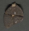 http://images.icar-us.eu/iiif/2/illum%2FIllUrk%2F1318-10-24_Sammelindulgenz_HHStA_AUR-4725_005.jpg/full/120,/0/default.jpg