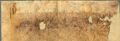 http://images.icar-us.eu/iiif/2/illum%2FIllUrk%2F1334-08-30_Arnhem_Gelders_Archief_0001_273_NL-AhGldA_0001_273-0001_Deelopname01.jpg/full/120,/0/default.jpg