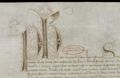 http://images.icar-us.eu/iiif/2/illum%2FIllUrk%2F1347-12-99_Namur_AE_no740_det.jpg/full/120,/0/default.jpg
