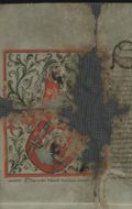 http://images.icar-us.eu/iiif/2/illum%2FIllUrk%2F1418-07-04_Sigismund-fuer-Mohorai_DL-69387_Deatil-Wappen.jpg/full/120,/0/default.jpg