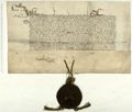 http://images.icar-us.eu/iiif/2/illum%2FIllUrk%2F1428-09-07_Lille_Arch_mun_PAT_80_1463_FRAM059350_PAT_80_1463_001.jpg/full/120,/0/default.jpg