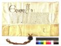 http://images.icar-us.eu/iiif/2/illum%2FIllUrk%2F1446-02-05_Eugen-IV-f-Rein_Scriptor-A-de-Corneto_5-StiARein_14450205_AIX-47_r.jpg/full/120,/0/default.jpg