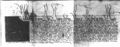 http://images.icar-us.eu/iiif/2/illum%2FIllUrk%2F1466-04-17_Matthias-fuer-Tarnoczay_DL-33041.jpg/full/120,/0/default.jpg