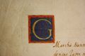 http://images.icar-us.eu/iiif/2/illum%2FIllUrk%2F1553-04-28_Mantua_Gull.Gonzaga-s.Maria%2520de%2520Credario.b.JPG/full/120,/0/default.jpg