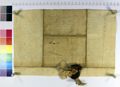 http://images.icar-us.eu/iiif/2/img%2FAT-ADG%2FUrkunden%2FADG_Urk_0656v.jpg/full/120,/0/default.jpg
