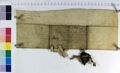 http://images.icar-us.eu/iiif/2/img%2FAT-ADG%2FUrkunden-P%2FADG_Urk_P1675v.jpg/full/120,/0/default.jpg