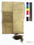 http://images.icar-us.eu/iiif/2/img%2FAT-KLA%2F418%2FKLA_418-B_C1175_12170410_v.JPG/full/120,/0/default.jpg