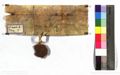 http://images.icar-us.eu/iiif/2/img%2FAT-KLA%2F418%2FKLA_418-B_C4237_14151216_v.JPG/full/120,/0/default.jpg