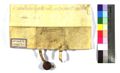 http://images.icar-us.eu/iiif/2/img%2FAT-KLA%2F418%2FKLA_418_C_4269_16631217_v.JPG/full/120,/0/default.jpg