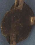 http://images.icar-us.eu/iiif/2/img%2FAT-NOeLA%2FStA_Urk%2FStA-Urk_0483_r_S.jpg/full/120,/0/default.jpg