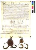 http://images.icar-us.eu/iiif/2/img%2FAT-StiALa%2FUrkunden%2FStiALa_L3_U144_13130614_r.jpg/full/120,/0/default.jpg