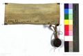 http://images.icar-us.eu/iiif/2/img%2FAT-StiASt%2FUrkunden%2FStStams_APP_A-XXXV_1_13150929_v.JPG/full/120,/0/default.jpg