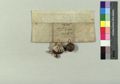 http://images.icar-us.eu/iiif/2/img%2FCZ-NA-I%2FCG-L%2FNA-CG-L_14470606_256_v.jpg/full/120,/0/default.jpg
