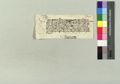 http://images.icar-us.eu/iiif/2/img%2FCZ-NA-I%2FCG-L%2FNA-CG-L_14861229_454_r.jpg/full/120,/0/default.jpg