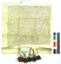 http://images.icar-us.eu/iiif/2/img%2FCZ-NA-I%2FCG-L%2FNA-CG-L_15450225_1361_r-2.jpg/full/120,/0/default.jpg