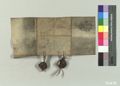 http://images.icar-us.eu/iiif/2/img%2FCZ-NA-I%2FRM%2FNA-RM_13890917_2998_v.jpg/full/120,/0/default.jpg