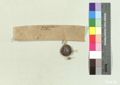 http://images.icar-us.eu/iiif/2/img%2FCZ-NA-I%2FRM%2FNA-RM_14051008_255_v.jpg/full/120,/0/default.jpg