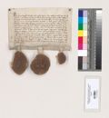 http://images.icar-us.eu/iiif/2/img%2FDE-BayHStA%2FKURegensburgStEmmeram%2Fde_bayhsta_kloster-st-emmeram-regensburg-urk_000173_c3cd72da-019f-4ae7-bf3a-35135a6a638f_0001.jpg/full/120,/0/default.jpg