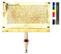http://images.icar-us.eu/iiif/2/img%2FDE-EAF%2FHaid%2FEAF_Urkundensammlung-Haid_398_r-2.jpg/full/120,/0/default.jpg