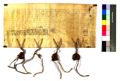 http://images.icar-us.eu/iiif/2/img%2FDE-EAF%2FHaid%2FEAF_Urkundensammlung-Haid_409_v.jpg/full/120,/0/default.jpg