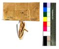 http://images.icar-us.eu/iiif/2/img%2FDE-EAF%2FHaid%2FEAF_Urkundensammlung-Haid_503_v.jpg/full/120,/0/default.jpg