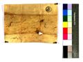 http://images.icar-us.eu/iiif/2/img%2FDE-EAF%2FHaid%2FEAF_Urkundensammlung-Haid_558_v.jpg/full/120,/0/default.jpg