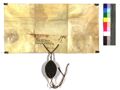 http://images.icar-us.eu/iiif/2/img%2FDE-EAF%2FZell%2F%2FEAF_Urkundensammlung-Zell_292_v.jpg/full/120,/0/default.jpg