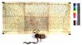 http://images.icar-us.eu/iiif/2/img%2FDE-EAF%2FZell%2F%2FEAF_Urkundensammlung-Zell_417_r.jpg/full/120,/0/default.jpg