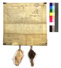 http://images.icar-us.eu/iiif/2/img%2FDE-EAF%2FZell%2F%2FEAF_Urkundensammlung-Zell_760_v.jpg/full/120,/0/default.jpg