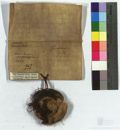 http://images.icar-us.eu/iiif/2/img%2FDE-HStAMa%2FUrk37%2FHStAM_Urk37_00184_12570920_v.JPG/full/120,/0/default.jpg