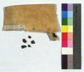 http://images.icar-us.eu/iiif/2/img%2FDE-HStAMa%2FUrk37%2FHStAM_Urk37_01097_13220525_v.JPG/full/120,/0/default.jpg