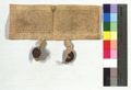 http://images.icar-us.eu/iiif/2/img%2FDE-HStAMa%2FUrk37%2FHStAM_Urk37_02027_14120513_r.JPG/full/120,/0/default.jpg
