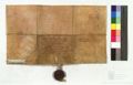 http://images.icar-us.eu/iiif/2/img%2FDE-HStAMa%2FUrk37%2FHStAM_Urk37_03220_15170926_v.JPG/full/120,/0/default.jpg