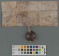 http://images.icar-us.eu/iiif/2/img%2FEE-Rahvusarhiiv%2Fcharters%2F%2Feaa0854_002_0000141_0001p_x.jpg/full/120,/0/default.jpg