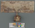 http://images.icar-us.eu/iiif/2/img%2FEE-Rahvusarhiiv%2Fcharters%2F%2Feaa0854_002_0000205_0001p_x.jpg/full/120,/0/default.jpg