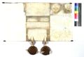 http://images.icar-us.eu/iiif/2/img%2FIT-DAB%2FHofarchiv%2FDAB_H.A._U2685_v.jpg/full/120,/0/default.jpg