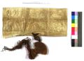http://images.icar-us.eu/iiif/2/img%2FSK-AMB%2FListiny%2FSK_1120_362_MB-13_r.JPG/full/120,/0/default.jpg