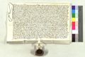 http://images.icar-us.eu/iiif/2/pics%2F100%2FASPjpgweb%2FASP_15301002_2126_r.jpg/full/120,/0/default.jpg