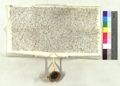 http://images.icar-us.eu/iiif/2/pics%2F100%2FASPjpgweb%2FASP_15420327_2320_r.jpg/full/120,/0/default.jpg