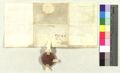 http://images.icar-us.eu/iiif/2/pics%2F100%2FASPjpgweb%2FASP_15490118_2438_v.jpg/full/120,/0/default.jpg