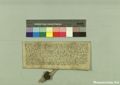 http://images.icar-us.eu/iiif/2/pics%2F132%2FK.._MOM-Bilddateien._~Schottenjpgweb._~Schottenstift_1330_12_07.jpg/full/120,/0/default.jpg