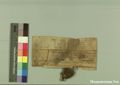 http://images.icar-us.eu/iiif/2/pics%2F227%2FK.._MOM-Bilddateien._~Pannonhalmajpgweb._~Capsarium._~Pann_1234_00_00_206947v.jpg/full/120,/0/default.jpg