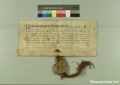 http://images.icar-us.eu/iiif/2/pics%2F227%2FK.._MOM-Bilddateien._~Pannonhalmajpgweb._~Capsarium._~Pann_1242_04_11_206999.jpg/full/120,/0/default.jpg