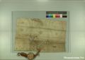 http://images.icar-us.eu/iiif/2/pics%2F227%2FK.._MOM-Bilddateien._~Pannonhalmajpgweb._~Capsarium._~Pann_1258_04_14_207044v.jpg/full/120,/0/default.jpg