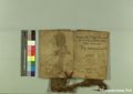 http://images.icar-us.eu/iiif/2/pics%2F227%2FK.._MOM-Bilddateien._~Pannonhalmajpgweb._~Capsarium._~Pann_1260_00_00_207059v.jpg/full/120,/0/default.jpg