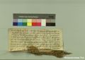 http://images.icar-us.eu/iiif/2/pics%2F227%2FK.._MOM-Bilddateien._~Pannonhalmajpgweb._~Capsarium._~Pann_1261_08_31_207062.jpg/full/120,/0/default.jpg