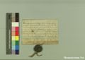 http://images.icar-us.eu/iiif/2/pics%2F227%2FK.._MOM-Bilddateien._~Pannonhalmajpgweb._~Capsarium._~Pann_1261_10_05_207064.jpg/full/120,/0/default.jpg