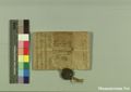 http://images.icar-us.eu/iiif/2/pics%2F227%2FK.._MOM-Bilddateien._~Pannonhalmajpgweb._~Capsarium._~Pann_1261_10_05_207064v.jpg/full/120,/0/default.jpg