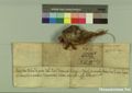 http://images.icar-us.eu/iiif/2/pics%2F227%2FK.._MOM-Bilddateien._~Pannonhalmajpgweb._~Capsarium._~Pann_1262_06_02_207067v.jpg/full/120,/0/default.jpg